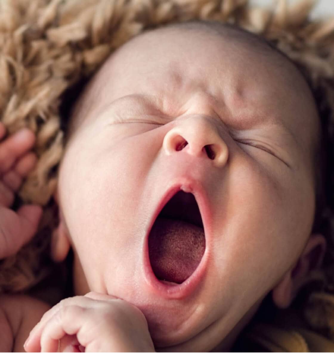 Dr Anna Holmes - Obstetrician